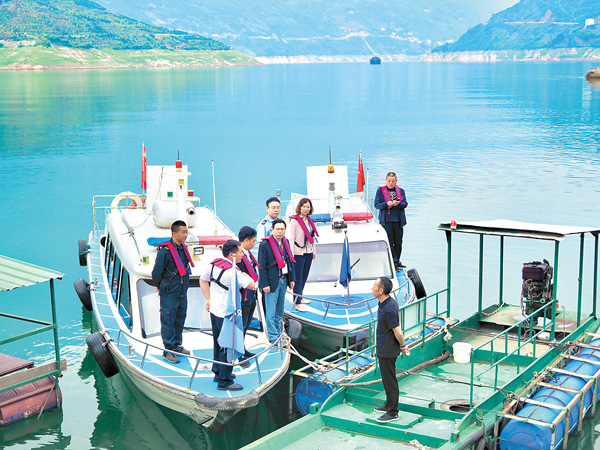 1635464225641686.jpg 1635464225641686.jpg